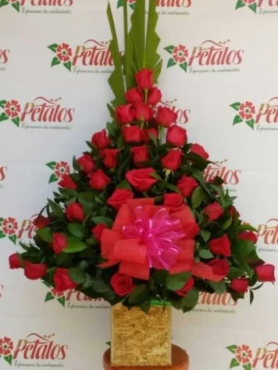 Floristeria-envigado-Antioquia-la-magnolia-cerca-de-mi- ERES MI MEJOR VERSION.png