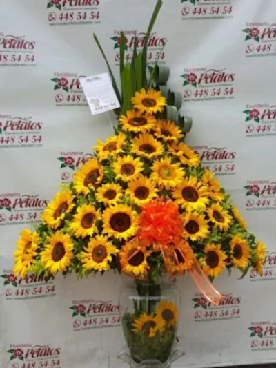 floristeria-envigado-antioquia-la-abadia-cerca-de-mi-085