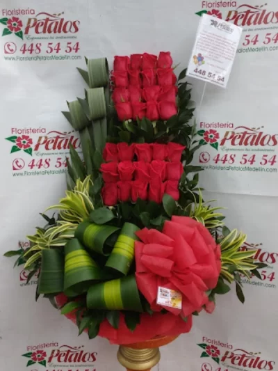 floristeria-envigado-antioquia-la-magnolia-sur-cerca-de-mi-034