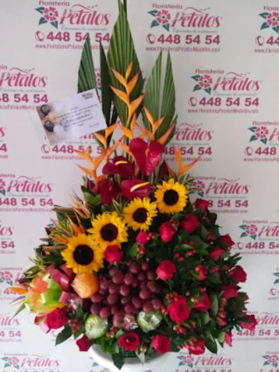 floristeria-envigado-antioquia-la-orquidea-cerca-de-mi-178