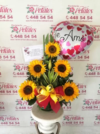 floristeria-envigado-antioquia-la-paz-cerca-de-mi-128