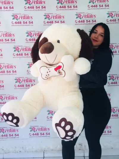 floristeria-envigado-antioquia-los-naranjos-cerca-de-mi-eres-mi-vida