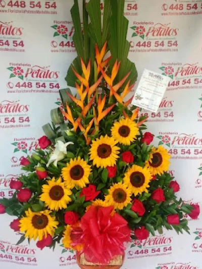 floristeria-envigado-antioquia-san-marcos-oriental-cerca-de-mi-106