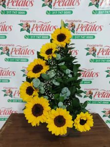 girasoles de lujo