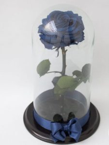 rosa azul