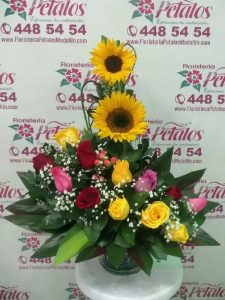 2 girasoles
