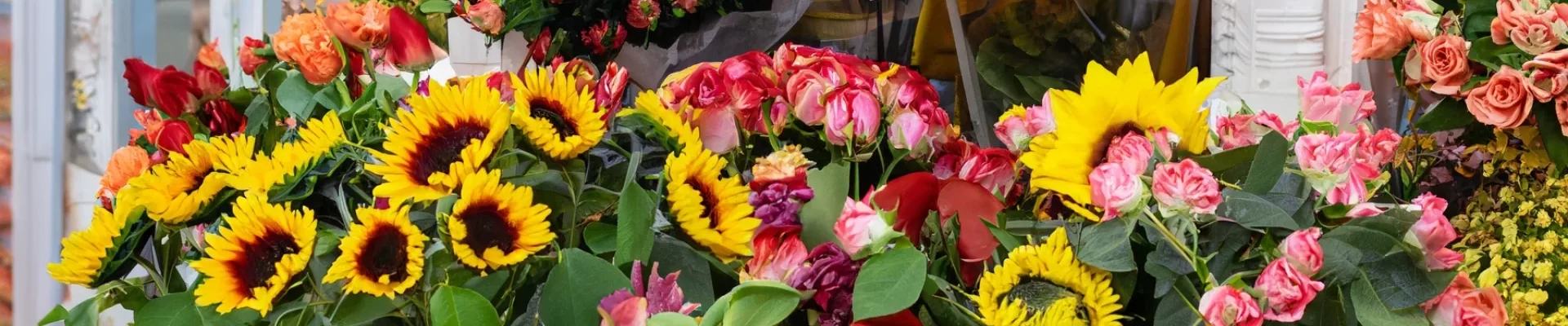 24 Horas-Floristería Envigado, Antioquia Un amigo me recomendó su florería en Envigado. Estoy súper feliz por el hermoso arreglo floral que entregaron a mi esposa en Envigado/No tengo palabras para agradecer el que me hayan dado la confianza de hacer mí pedido en línea y que fuera tan fácil y seguro. La atención de su personal es de primera y el arreglo floral estaba increíble. Gracias floristería Pétalos Envigado Gracias por su atención y servicio. Envigado/Floristería Petalos Envigado/ Floristeria Centro Envigado/Floristeria Trianon Envigado/Floristeria La Paz Envigado/Las Brujas Envigado/Floristerias Palma Mayorca Envigado/Loma del Esmeraldal Envigado/Lomas San Julian/El Escobero/El Salado/Rocio de la Mañana/San Lucas/Bosques de Zuñiga/La Magnolia/Rincon del Fraile/Floristería Centro Envigado |Flores Alcala Envigado/Flores el Dorado Envigado/Floristería Parque Envigado/Floristería 24 Horas Envigado/Floristería Gascuña Envigado/Floristería las Lomas Envigado/Floristería Aves Marias Envigado Antioquia