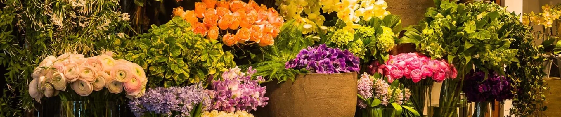 24 Horas-Floristería Envigado, Antioquia Un amigo me recomendó su florería en Envigado. Estoy súper feliz por el hermoso arreglo floral que entregaron a mi esposa en Envigado/No tengo palabras para agradecer el que me hayan dado la confianza de hacer mí pedido en línea y que fuera tan fácil y seguro. La atención de su personal es de primera y el arreglo floral estaba increíble. Gracias floristería Pétalos Envigado Gracias por su atención y servicio. Envigado/Floristería Petalos Envigado/ Floristeria Centro Envigado/Floristeria Trianon Envigado/Floristeria La Paz Envigado/Las Brujas Envigado/Floristerias Palma Mayorca Envigado/Loma del Esmeraldal Envigado/Lomas San Julian/El Escobero/El Salado/Rocio de la Mañana/San Lucas/Bosques de Zuñiga/La Magnolia/Rincon del Fraile/Floristería Centro Envigado |Flores Alcala Envigado/Flores el Dorado Envigado/Floristería Parque Envigado/Floristería 24 Horas Envigado/Floristería Gascuña Envigado/Floristería las Lomas Envigado/Floristería Aves Marias Envigado Antioquia